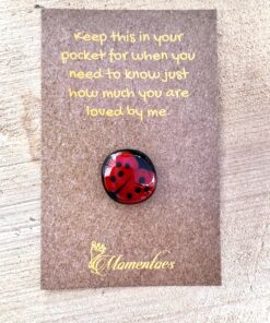 Ladybird Fused Glass Pocket Pebbles