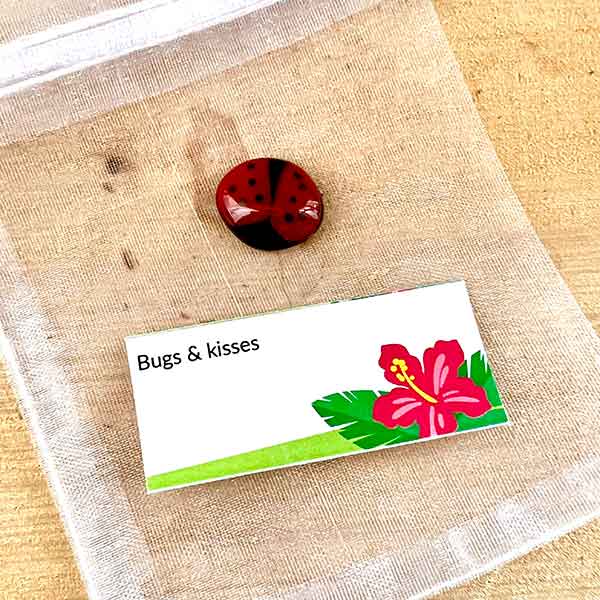 Bugs and Kisses Glass Pocket Pebbles