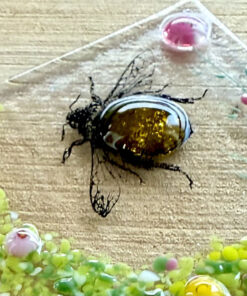 Alternative view of Memorial Ashes Bee Tea-light Holder